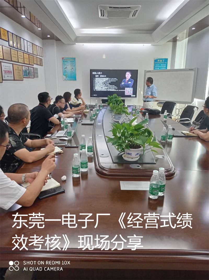 上市企业中国式绩效指导